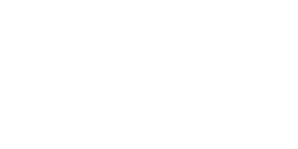 Apple Pay Logo