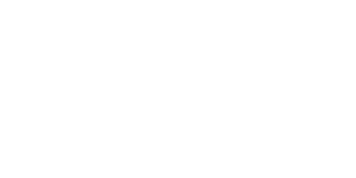 Banktransfer Casino Logo in weiß