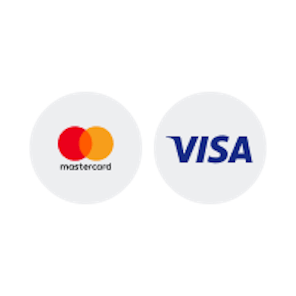 Das Logo des Zahlungsanbieters Visa