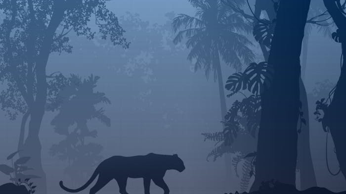 Mighty Wild™: Wazdan bringt neue Panther-Edition 2024 heraus