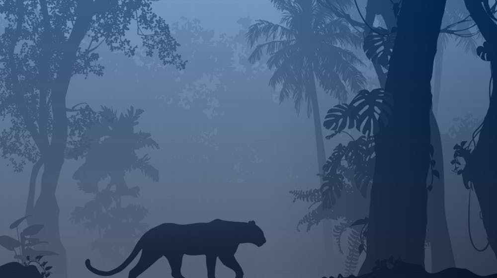 Mighty Wild™: Wazdan bringt neue Panther-Edition 2024 heraus