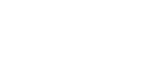 paysafecard Logo