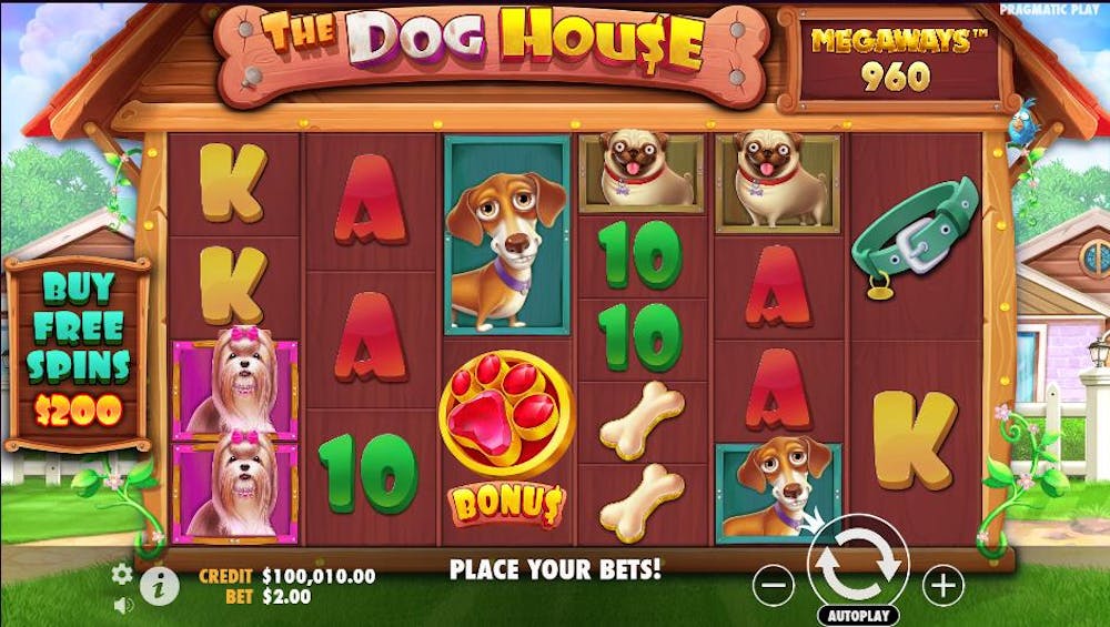 Aufbau beim The Dog House Megaways Slot