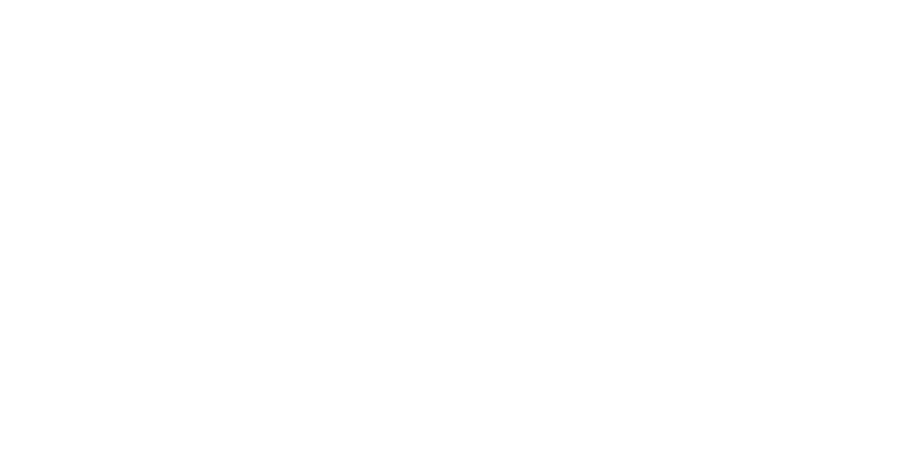 Visa Logo