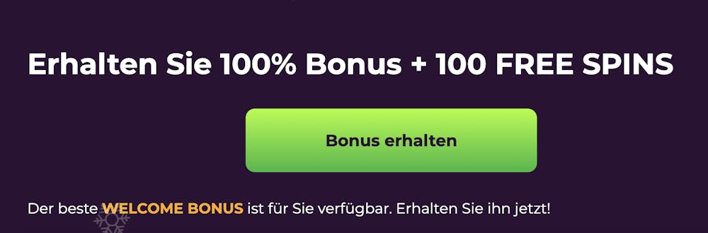 Willkommensbonus im Wizebets Casino